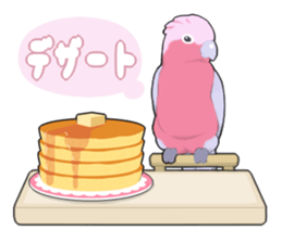 parrots sticker #853689