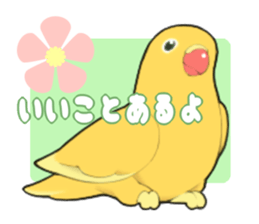 parrots sticker #853694