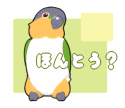 parrots sticker #853701