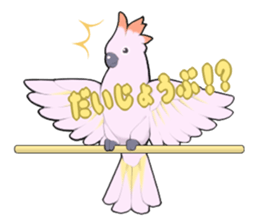 parrots sticker #853705