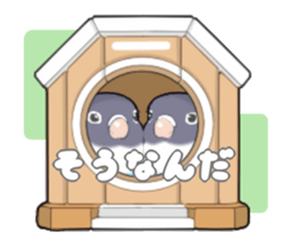 parrots sticker #853706