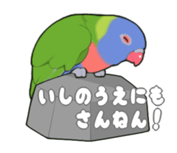 parrots sticker #853709