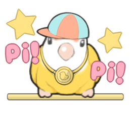 parrots sticker #853712