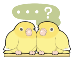 parrots sticker #853714