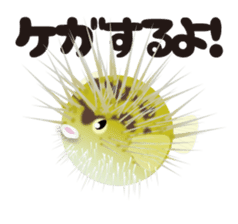 Divenet Sticker sticker #854469