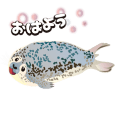 Divenet Sticker sticker #854476