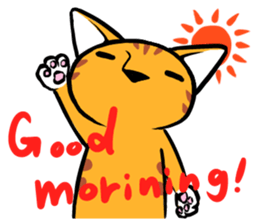 Everyday Tabby sticker #856440