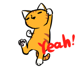 Everyday Tabby sticker #856458
