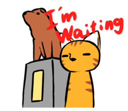 Everyday Tabby sticker #856476