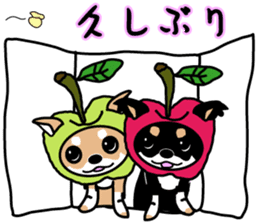 sweet&spicy2 sticker #856720