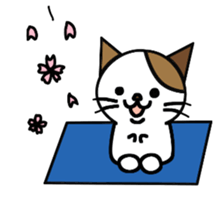 nyanske6 season sticker #857002