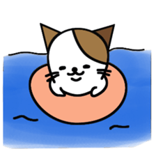 nyanske6 season sticker #857006