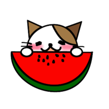 nyanske6 season sticker #857012