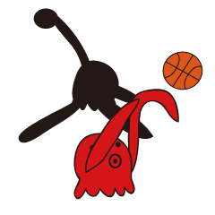 Tako Basketball