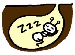 Life of the ant sticker #858834