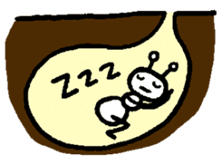 Life of the ant sticker #858834