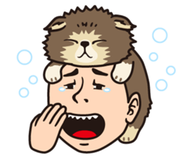 Hat-trick's sticker #861028