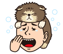 Hat-trick's sticker #861028