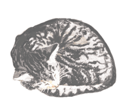 Oh, my cats! sticker #861079