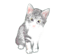 Oh, my cats! sticker #861080