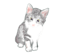 Oh, my cats! sticker #861080