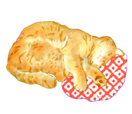 Oh, my cats! sticker #861081
