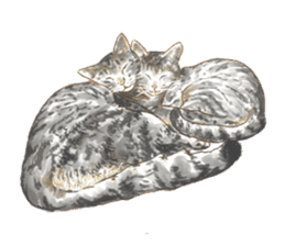 Oh, my cats! sticker #861082