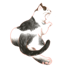 Oh, my cats! sticker #861083