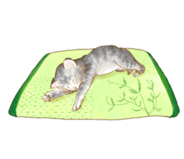 Oh, my cats! sticker #861085