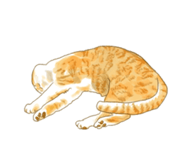 Oh, my cats! sticker #861086