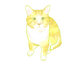 Oh, my cats! sticker #861091