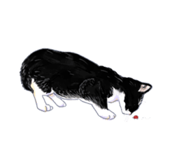Oh, my cats! sticker #861092