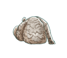 Oh, my cats! sticker #861097