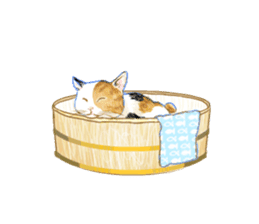 Oh, my cats! sticker #861101