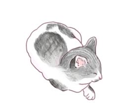 Oh, my cats! sticker #861102