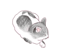 Oh, my cats! sticker #861102