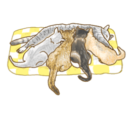 Oh, my cats! sticker #861104