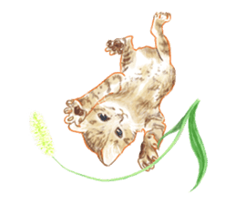 Oh, my cats! sticker #861114