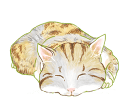 Oh, my cats! sticker #861116