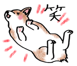 A dog and cat sticker #861882