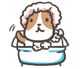 Boson X DOGS sticker #862124