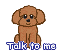 Toy poodles will heal(English) sticker #863079