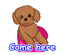 Toy poodles will heal(English) sticker #863080