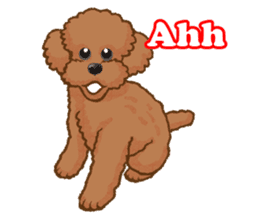 Toy poodles will heal(English) sticker #863083