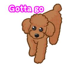 Toy poodles will heal(English) sticker #863085
