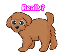 Toy poodles will heal(English) sticker #863087