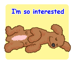 Toy poodles will heal(English) sticker #863091