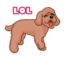 Toy poodles will heal(English) sticker #863093