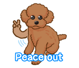 Toy poodles will heal(English) sticker #863099