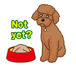 Toy poodles will heal(English) sticker #863101